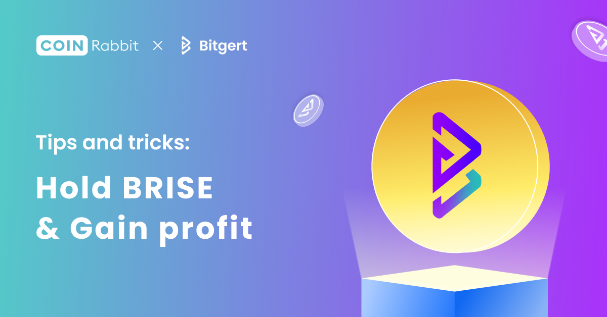 BRISE Crypto loans – All You Need to Know